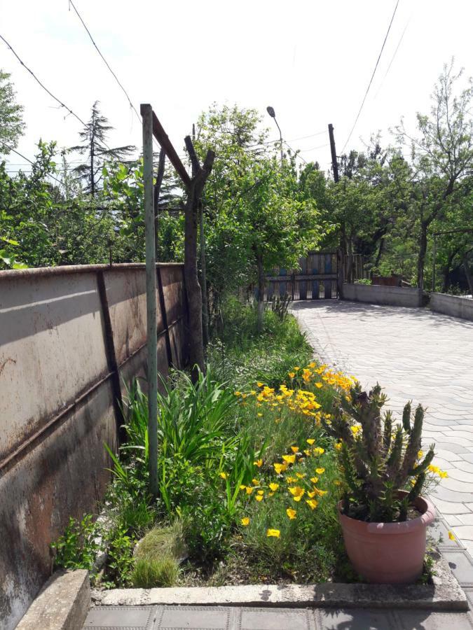 Sataplia District Hotell Kutaisi Exteriör bild